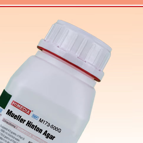 AGAR MUELLER HINTON X 500 GR - HIMEDIA