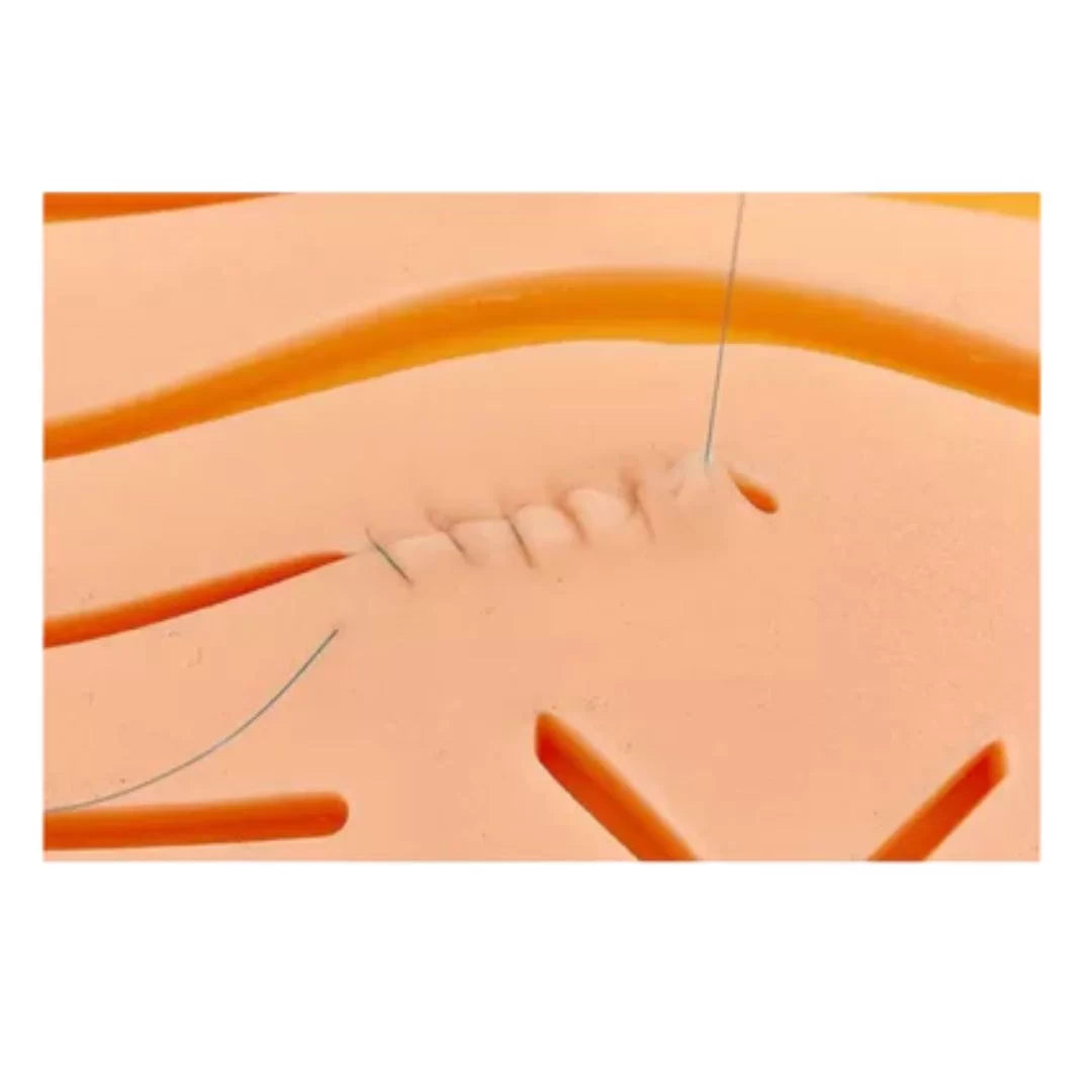 MAQUETA DE SUTURA DE 17 CORTES