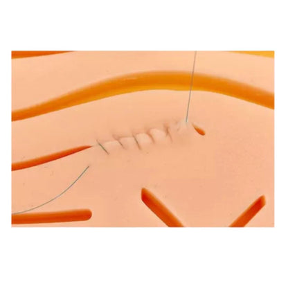 MAQUETA DE SUTURA DE 17 CORTES